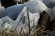 090111 Marken-06
