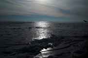 090111 Marken-10
