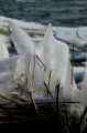 090111 Marken-16
