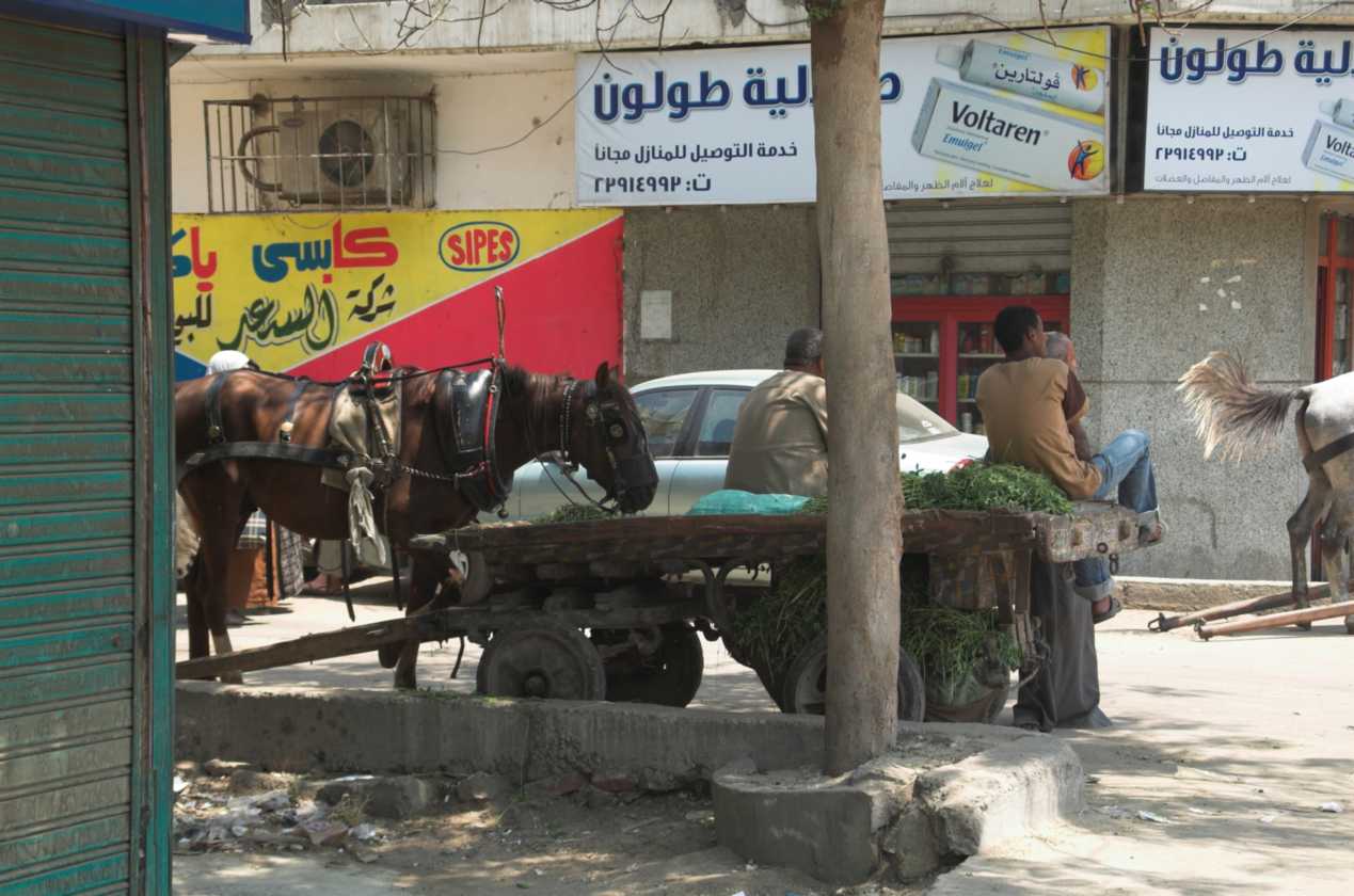 0904 Cairo --068