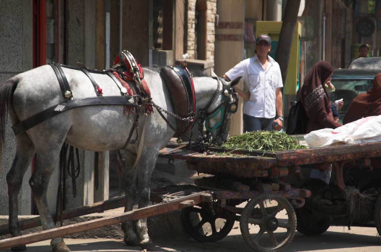 0904 Cairo --070