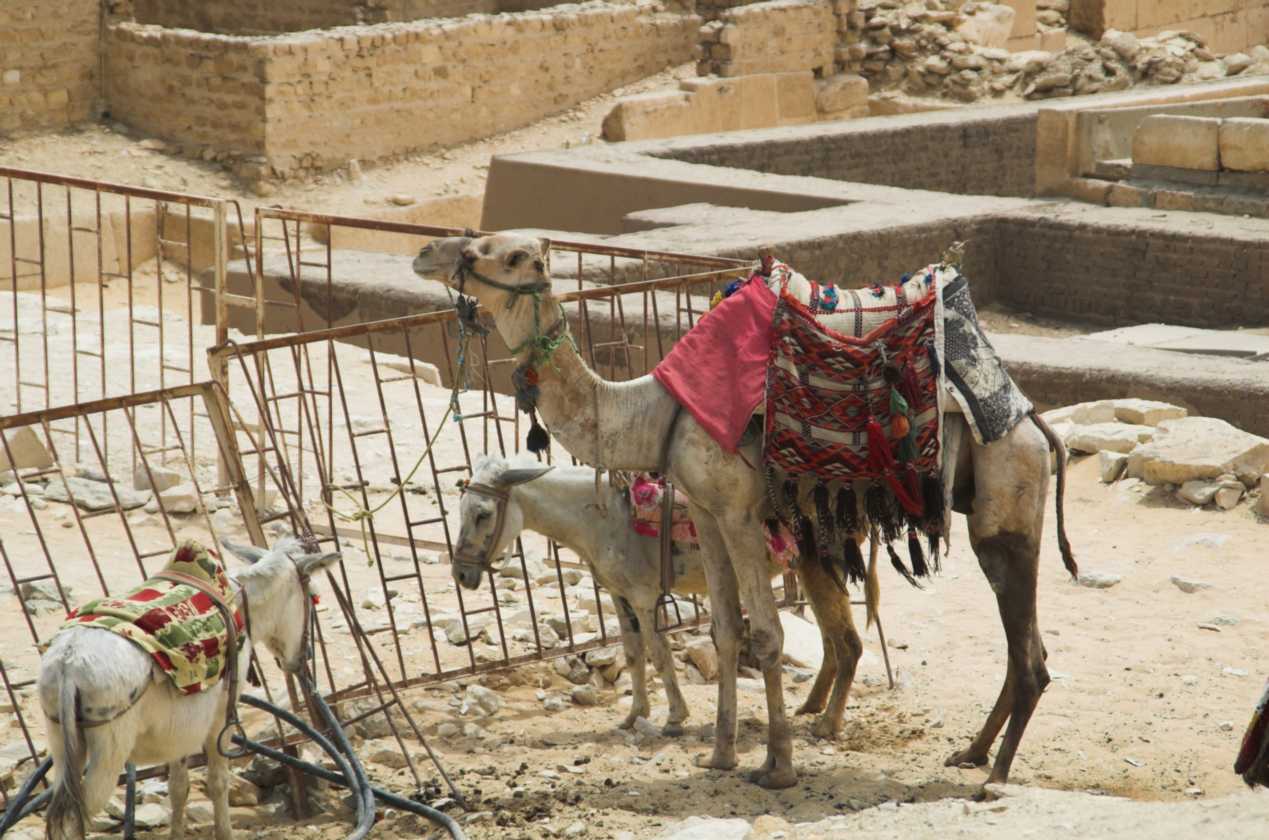 0904 Cairo --174