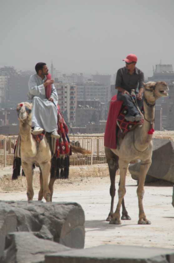 0904 Cairo --213