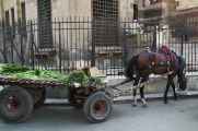 0904 Cairo --129