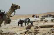 0904 Cairo --220