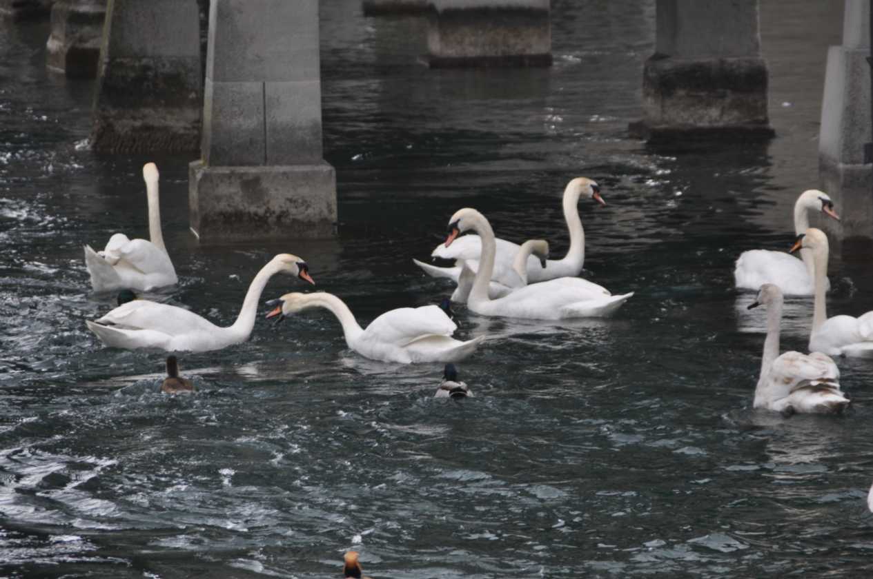 022 Luzern mei 2010