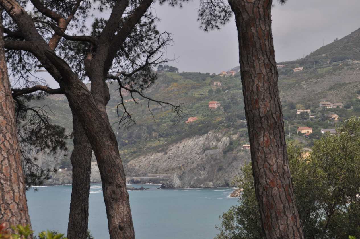013 Levanto-Monterosso mei 2010