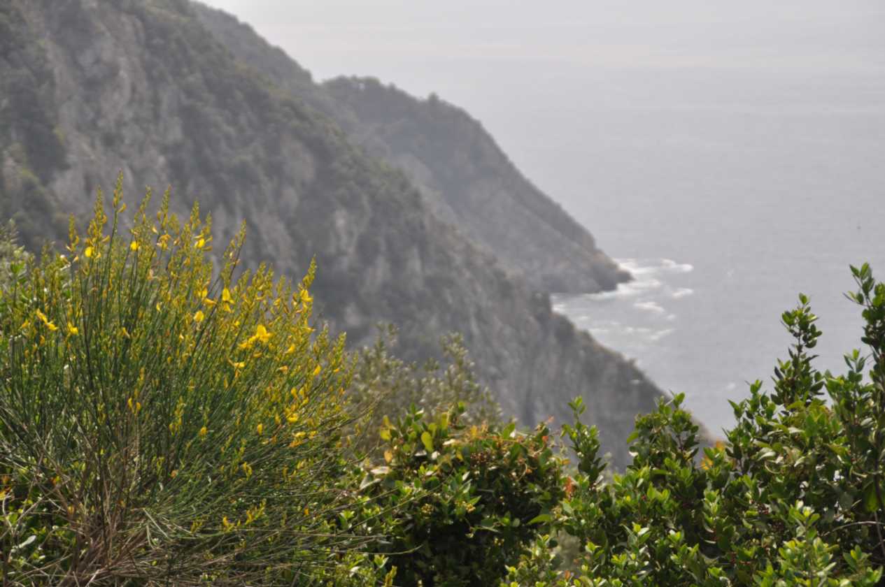 021 Levanto-Monterosso mei 2010