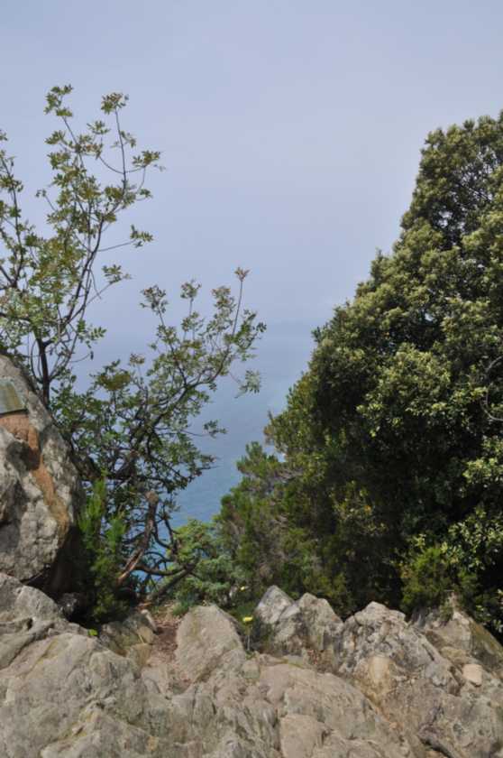 025 Levanto-Monterosso mei 2010