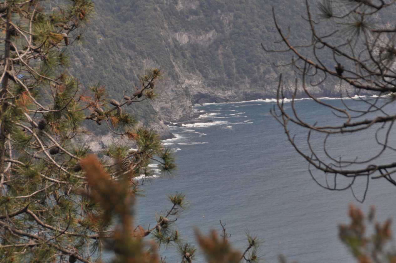 038 Levanto-Monterosso mei 2010