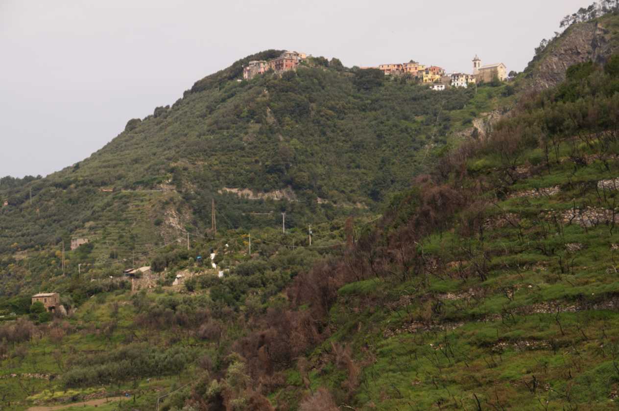 018 Corniglia-Manarole-Corniglia mei 2010