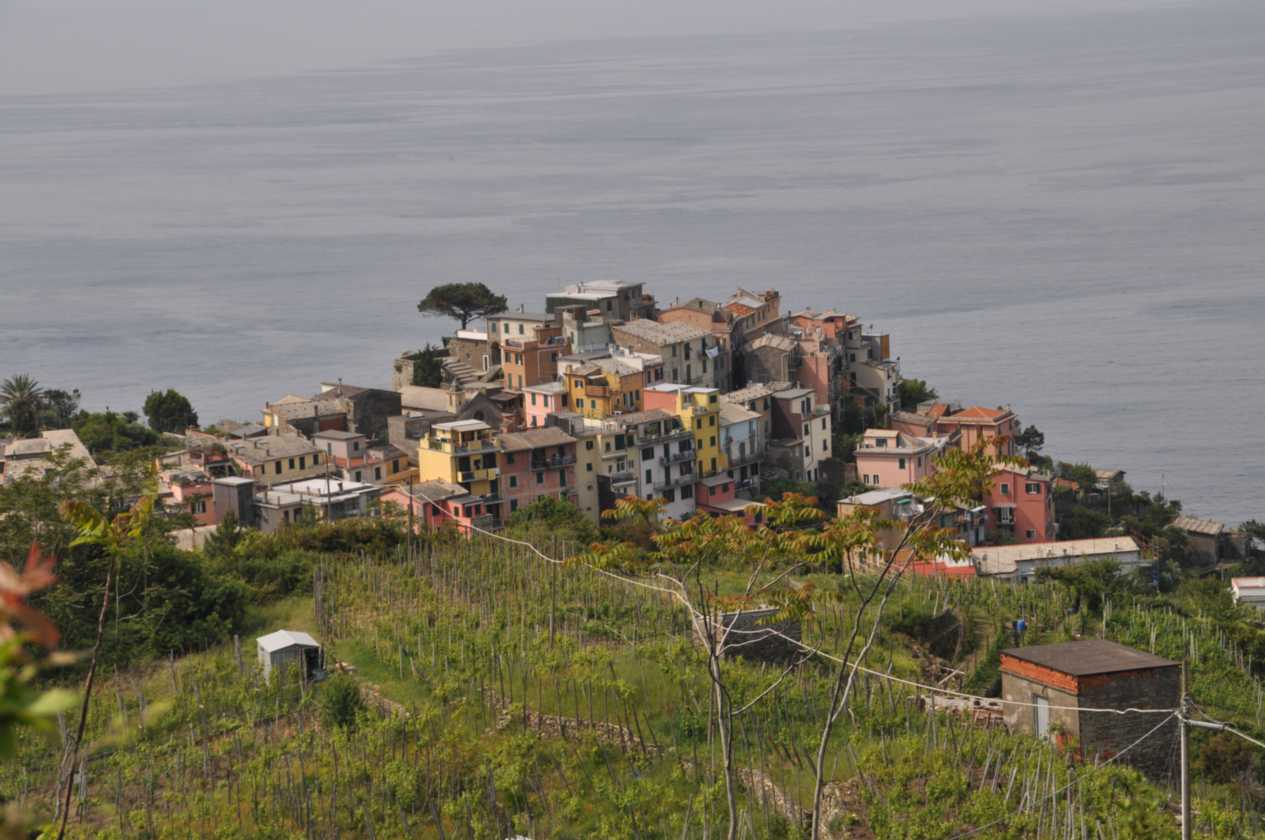 019 Corniglia-Manarole-Corniglia mei 2010