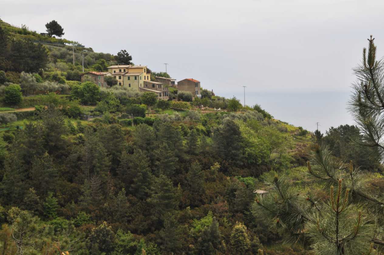 033 Corniglia-Manarole-Corniglia mei 2010