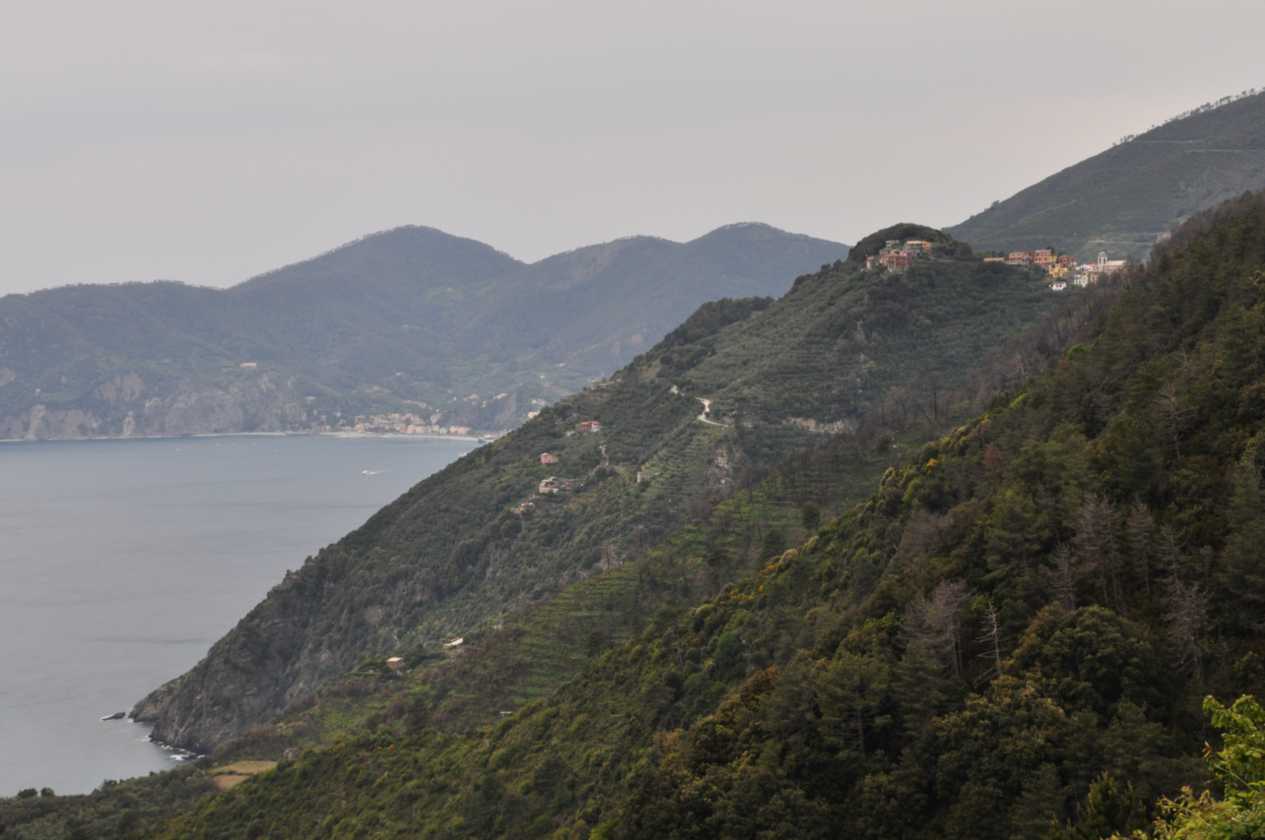 035 Corniglia-Manarole-Corniglia mei 2010