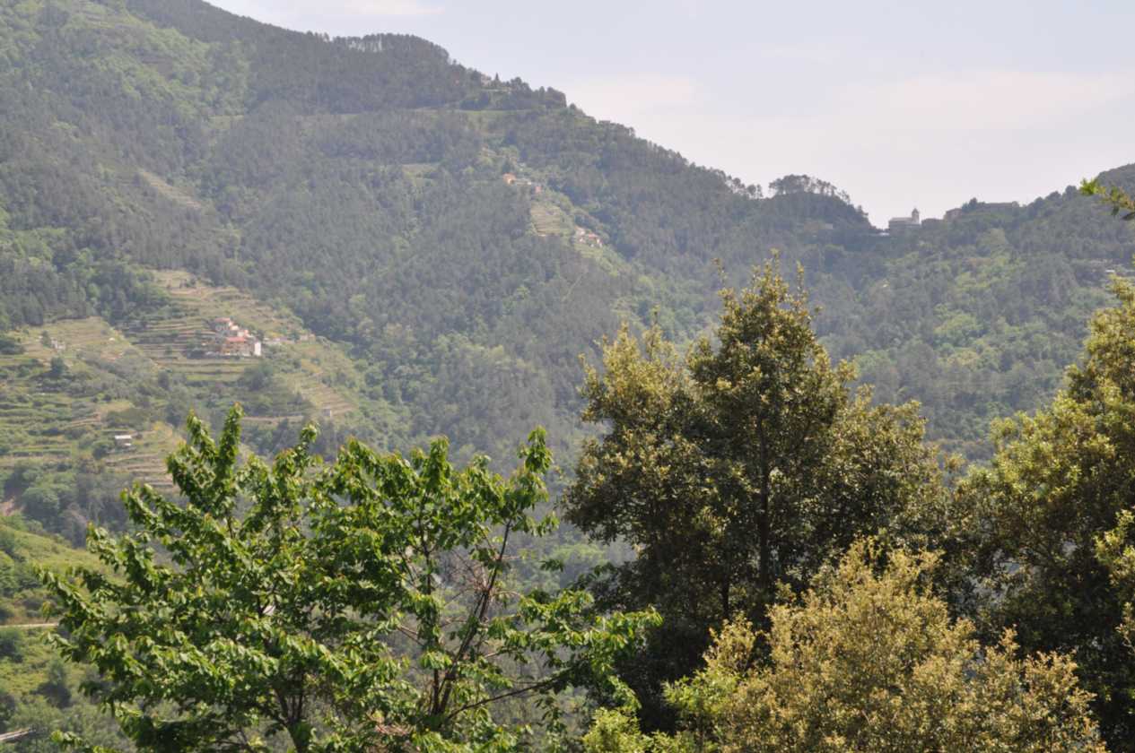 028 Soviore-Vernazza mei 2010