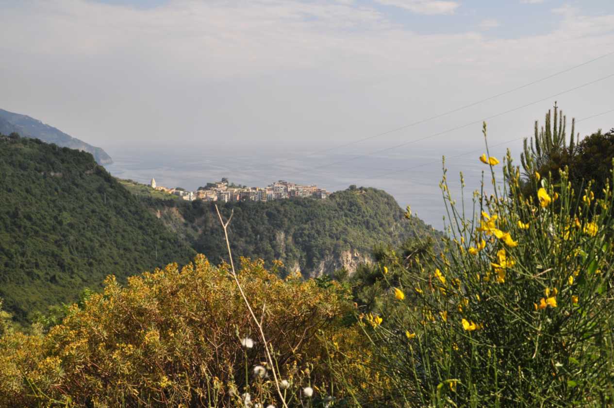 065 Vernazza-Vernazza mei 2010