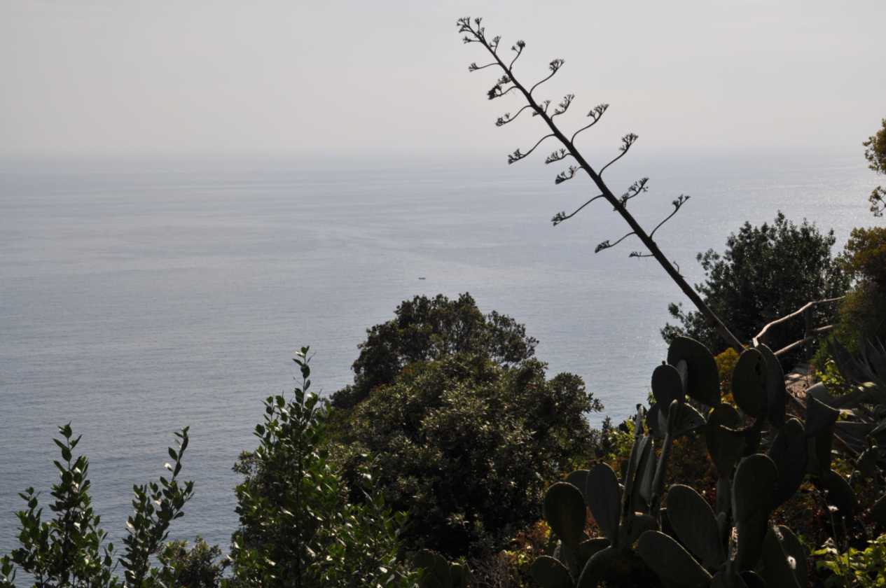 071 Vernazza-Vernazza mei 2010