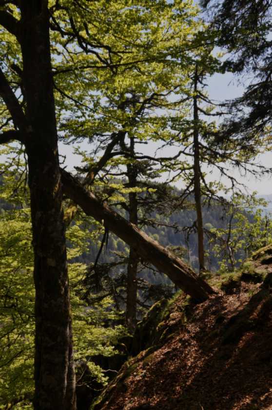 019 Gerardmer mei 2010