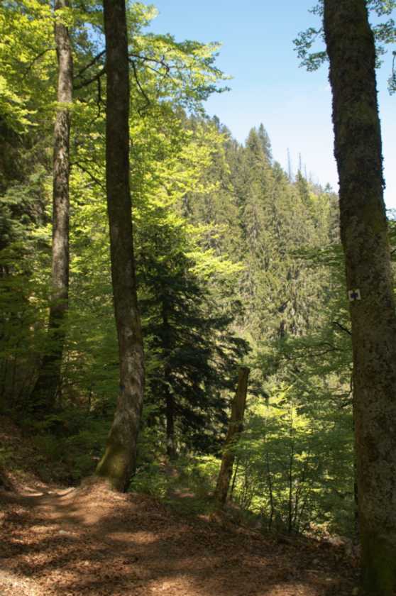 035 Gerardmer mei 2010