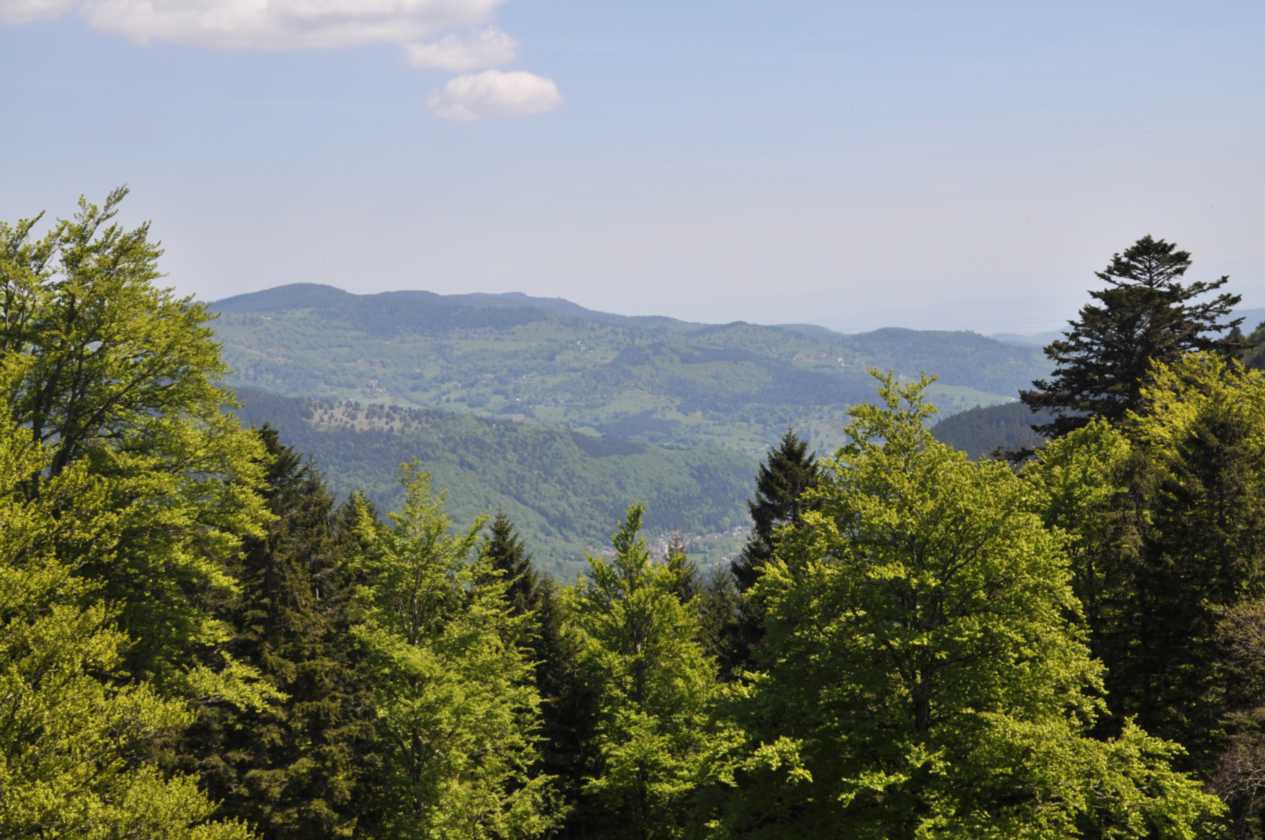 038 Gerardmer mei 2010