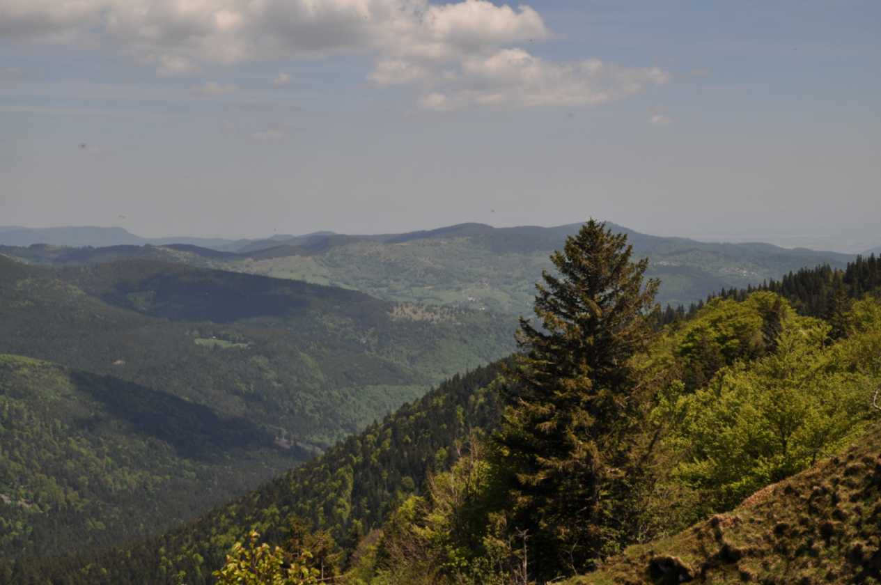 042 Gerardmer mei 2010