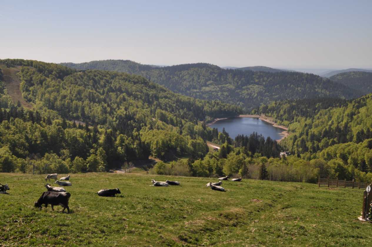 058 Gerardmer mei 2010