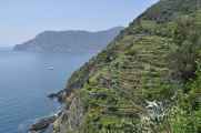 040 Soviore-Vernazza mei 2010