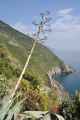072 Vernazza-Vernazza mei 2010