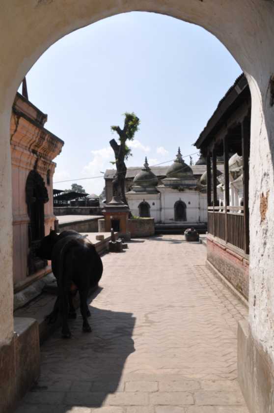 03-022 Kathmandu-tempels