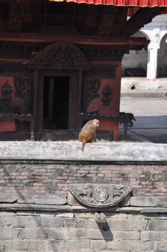 03-030 Kathmandu-tempels