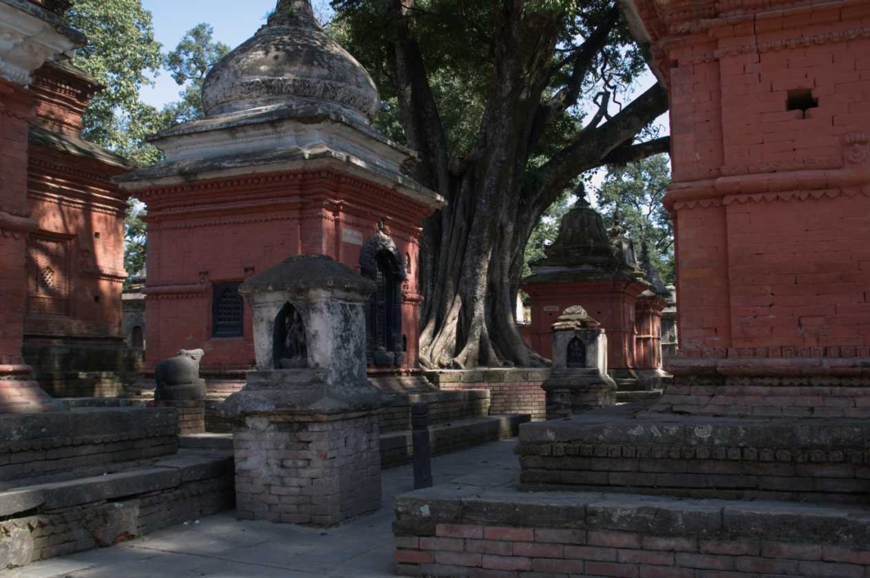 03-085 Kathmandu-tempels