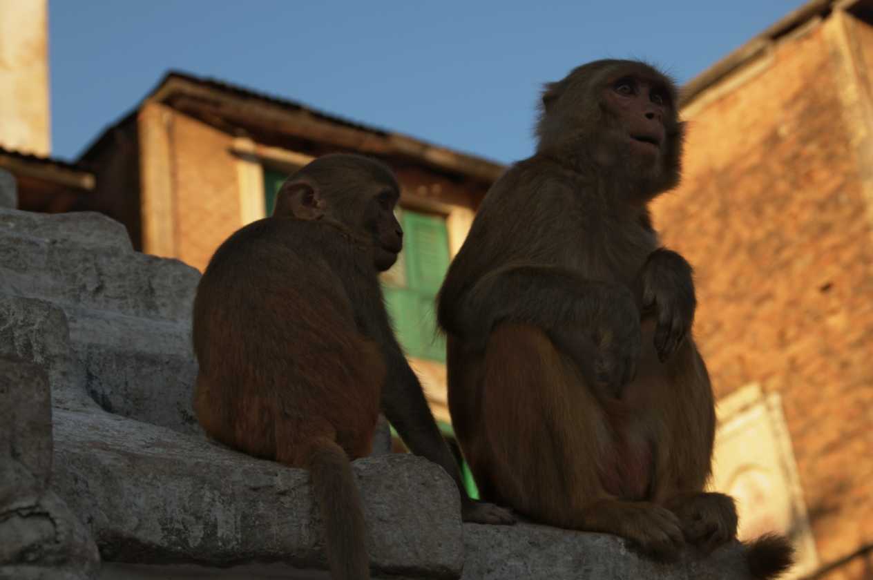 03-159 Kathmandu-tempels