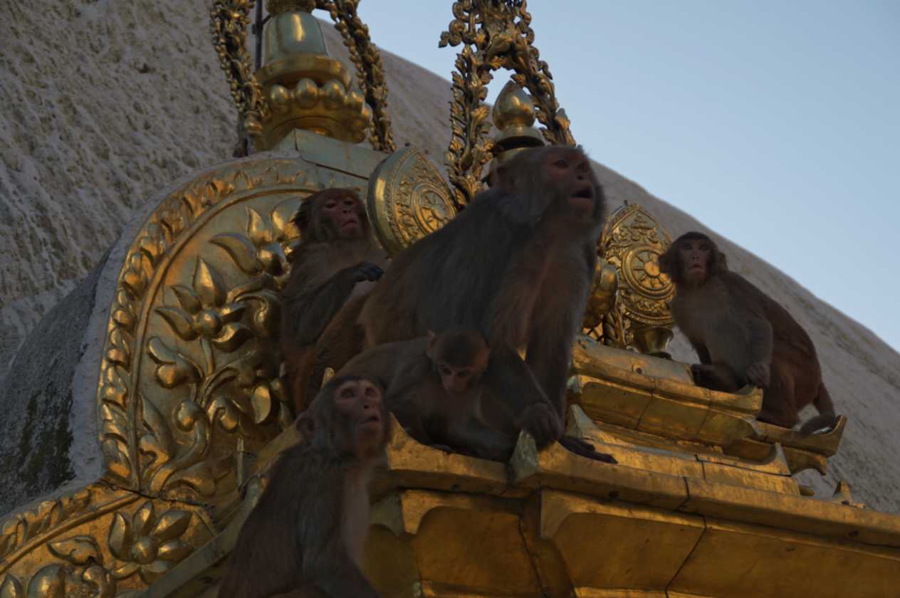 03-162 Kathmandu-tempels