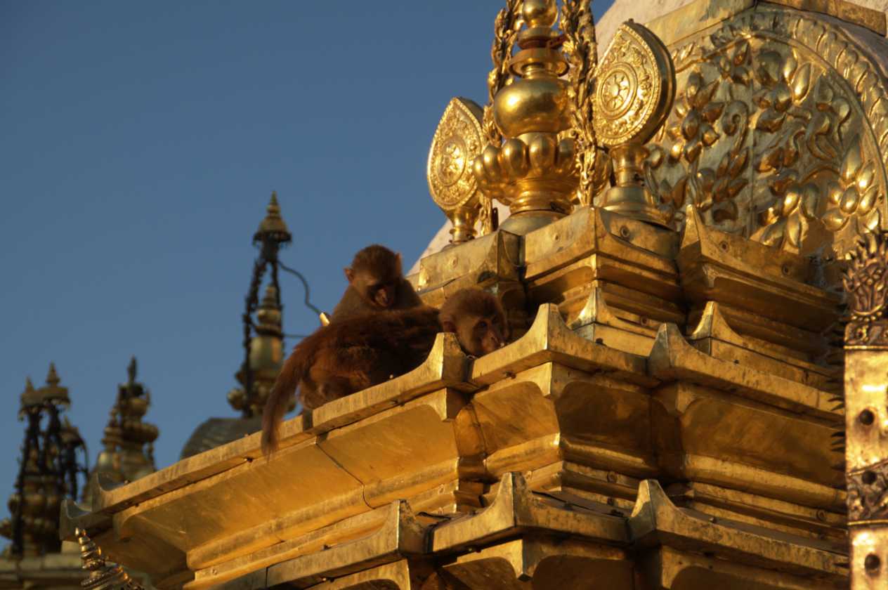 03-165 Kathmandu-tempels