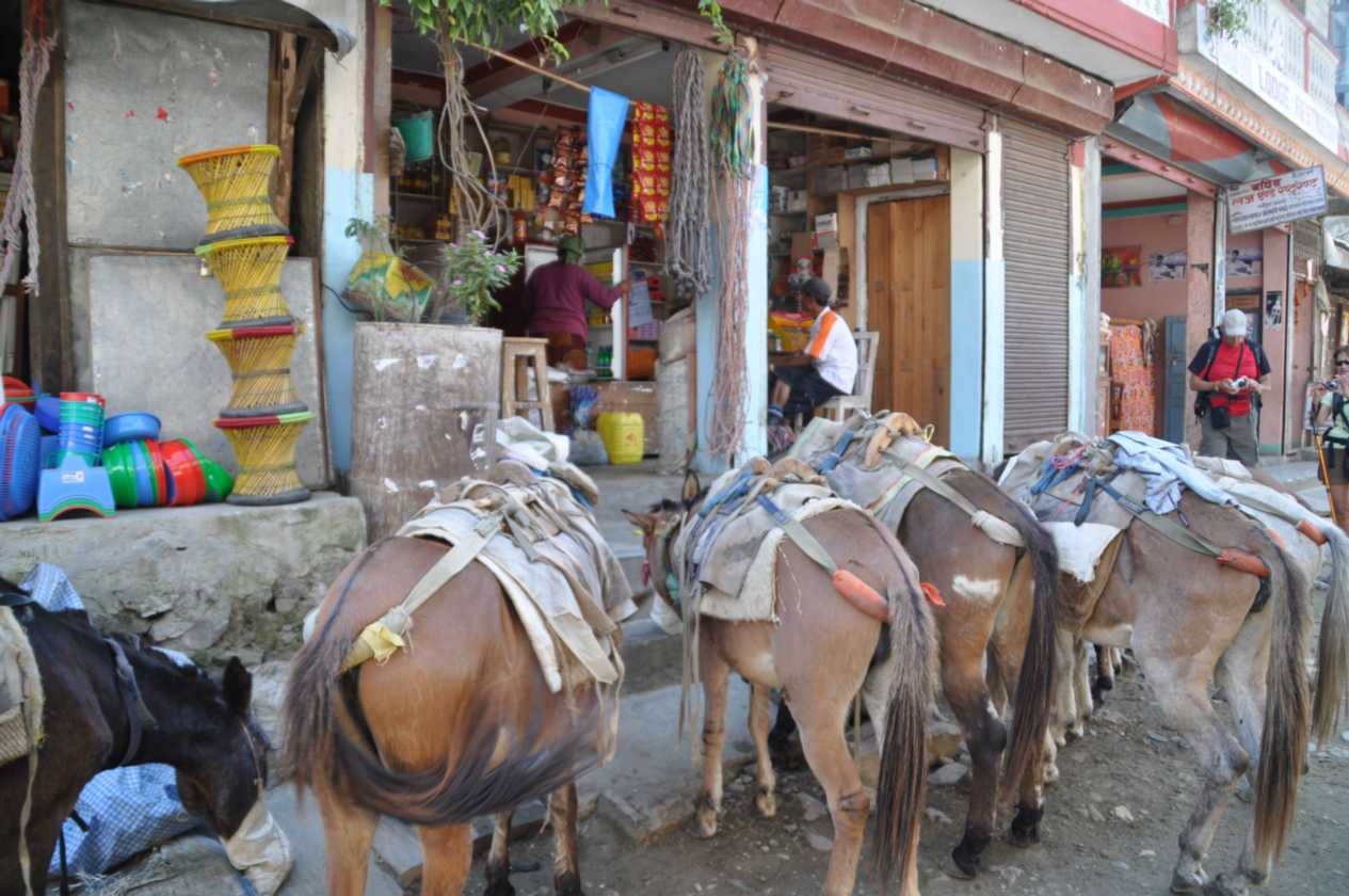 07-012  Nayapul-Thike Dhunga