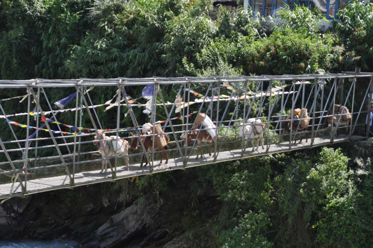 07-020  Nayapul-Thike Dhunga