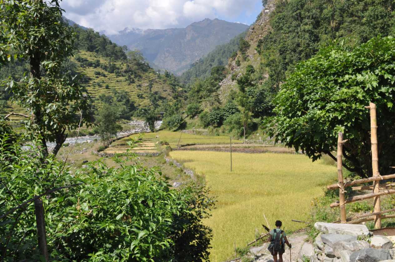 07-033  Nayapul-Thike Dhunga