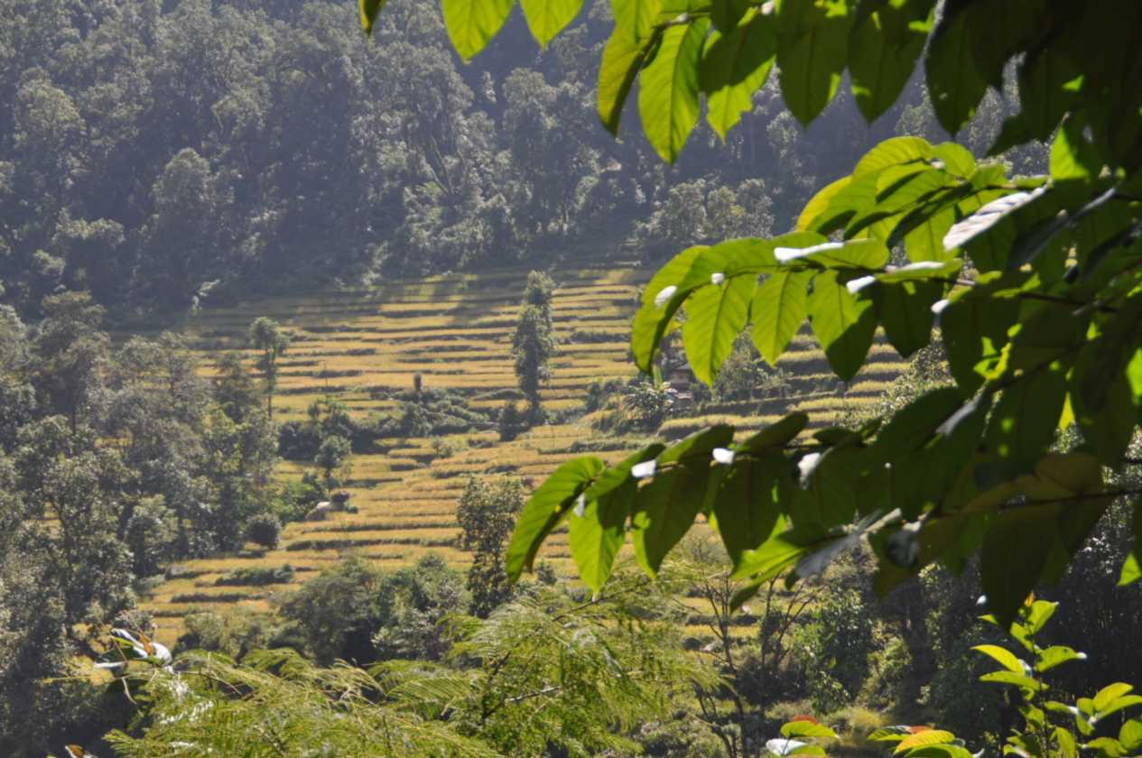 07-035  Nayapul-Thike Dhunga