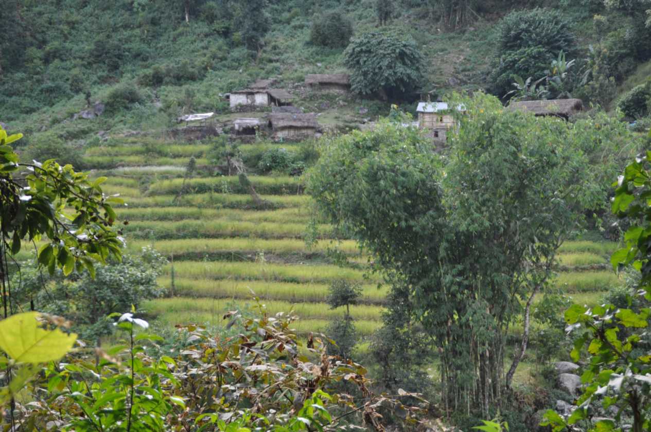 07-051  Nayapul-Thike Dhunga