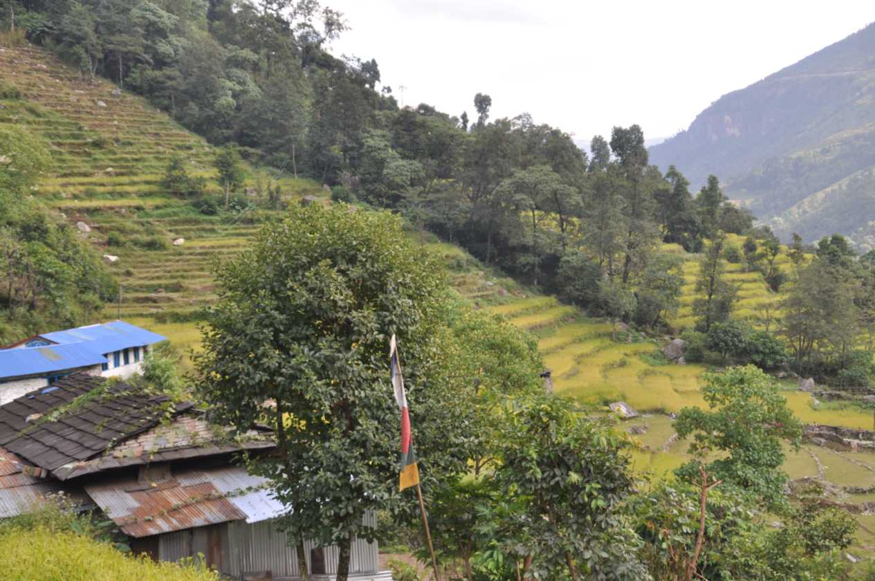 07-056  Nayapul-Thike Dhunga