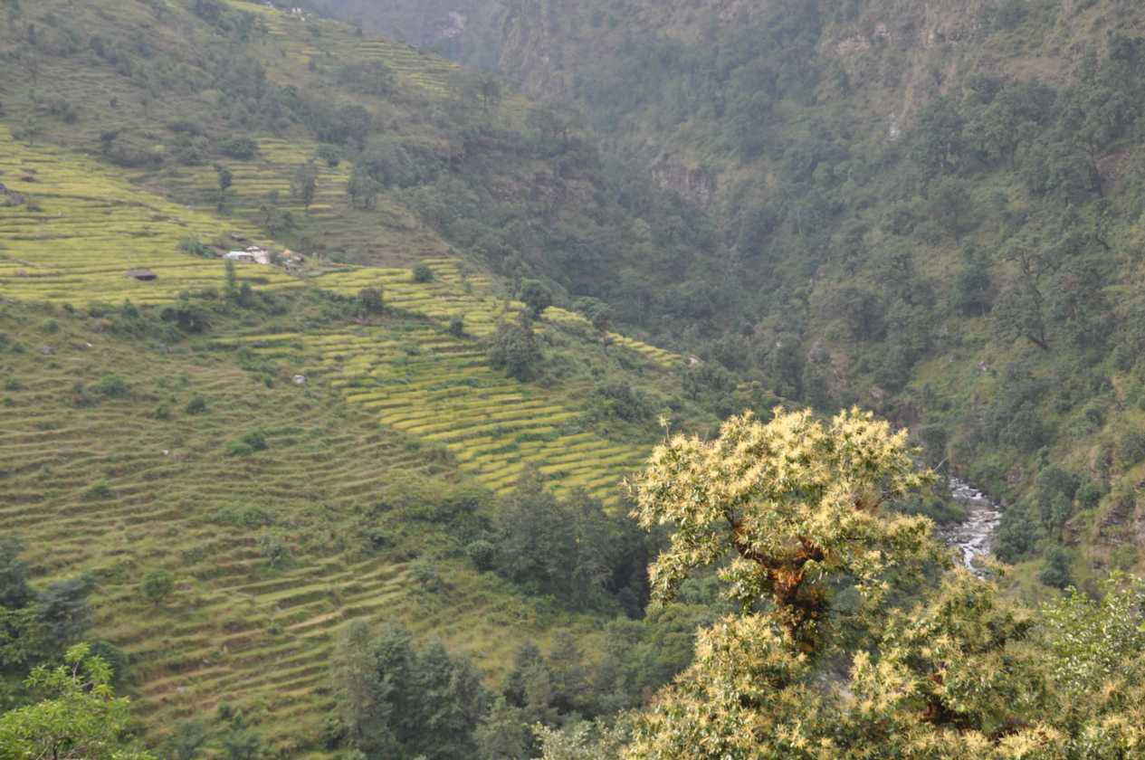 07-063  Nayapul-Thike Dhunga
