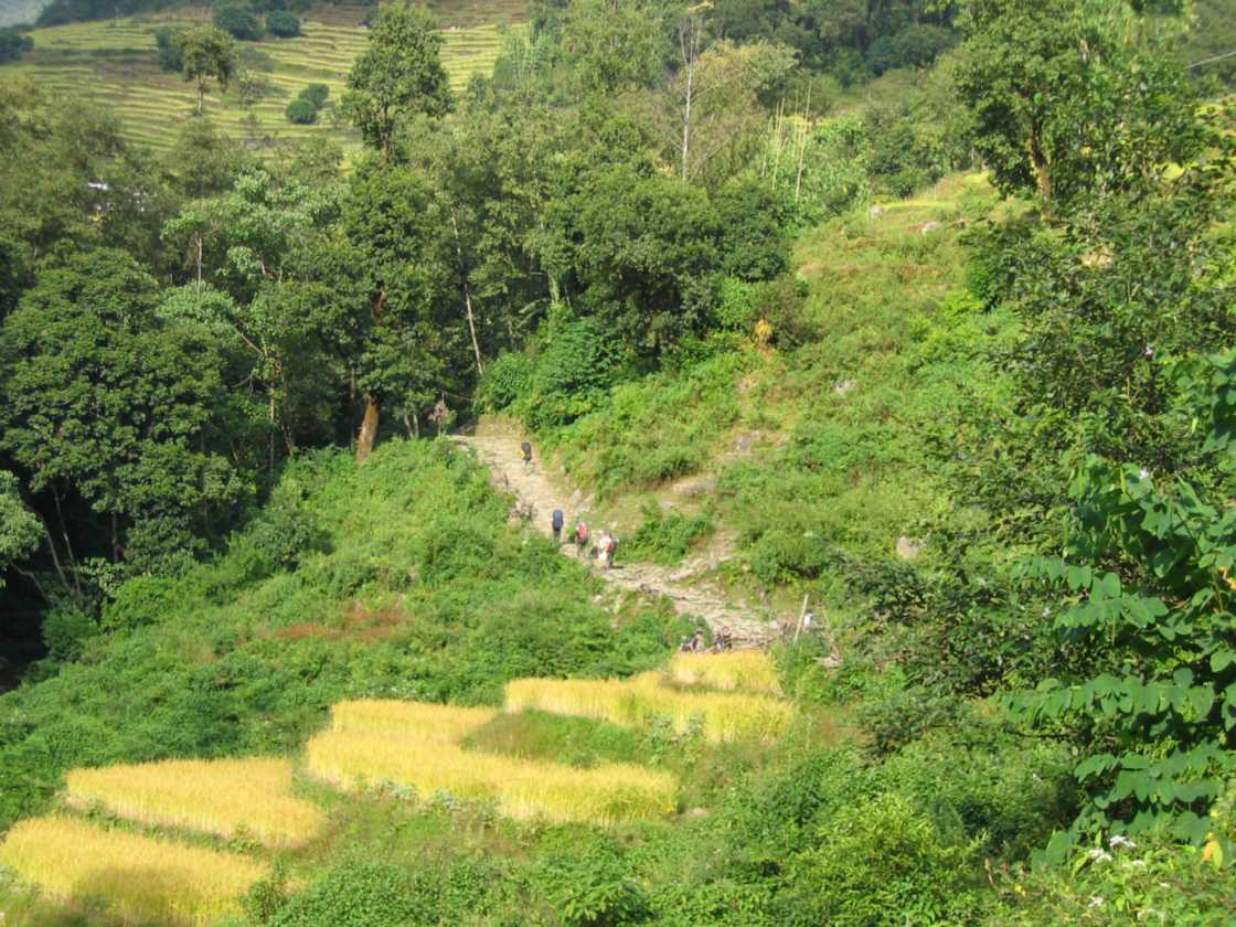 07-069  Nayapul-Thike Dhunga
