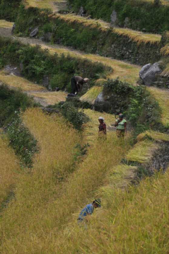 07-070  Nayapul-Thike Dhunga