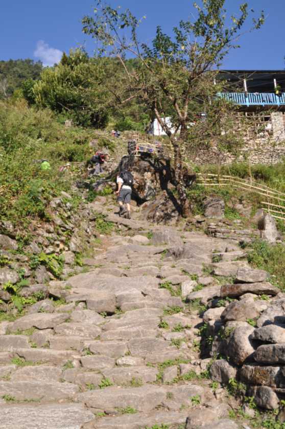 08-011 Thike Dhunga-Ghorepani