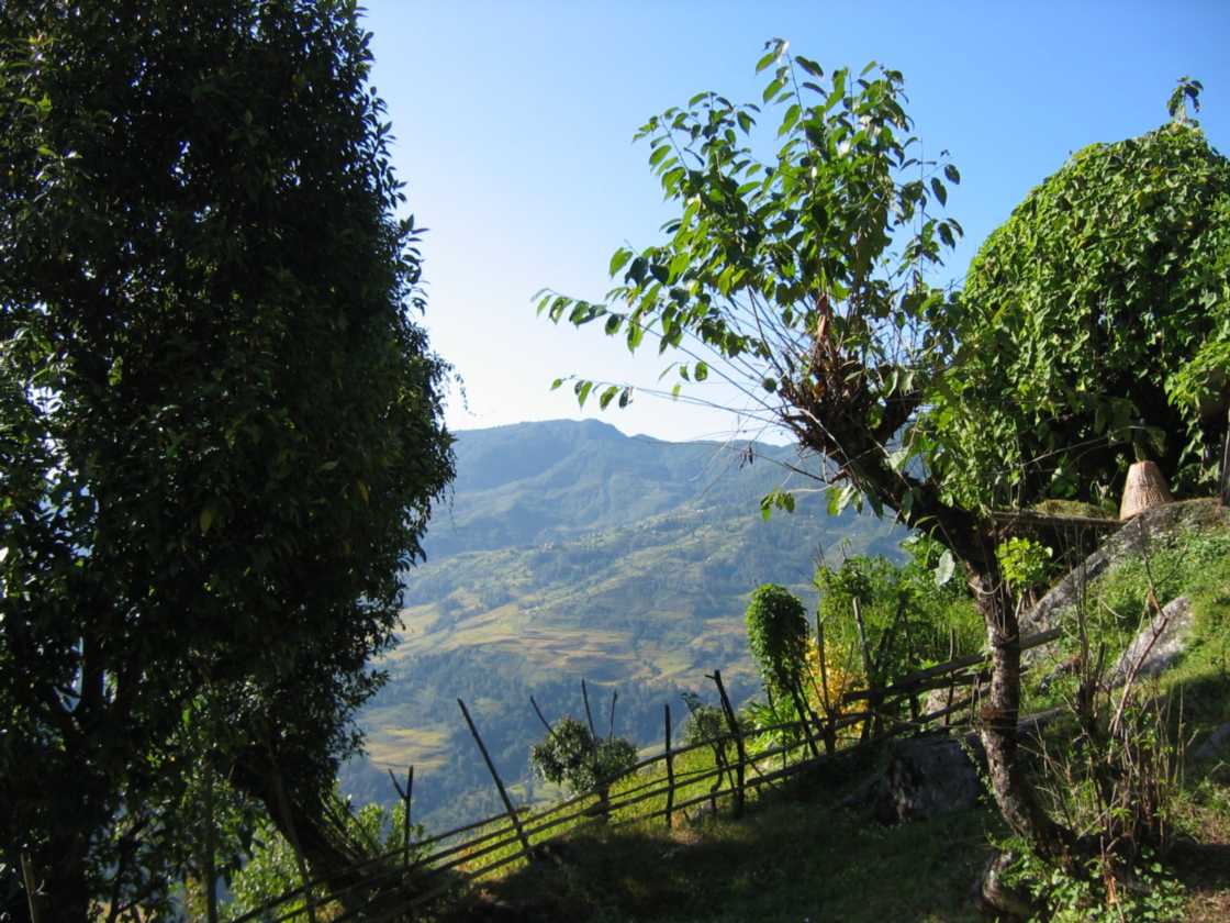 08-013 Thike Dhunga-Ghorepani