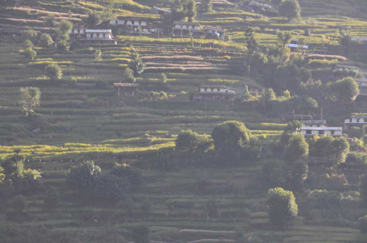 08-014 Thike Dhunga-Ghorepani