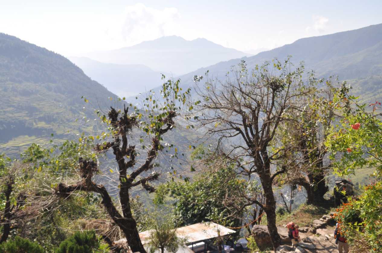 08-021 Thike Dhunga-Ghorepani