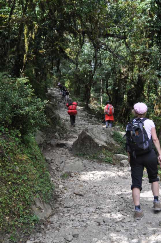 08-027 Thike Dhunga-Ghorepani