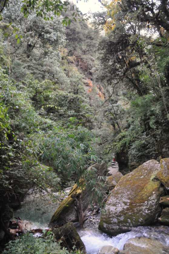 08-032 Thike Dhunga-Ghorepani
