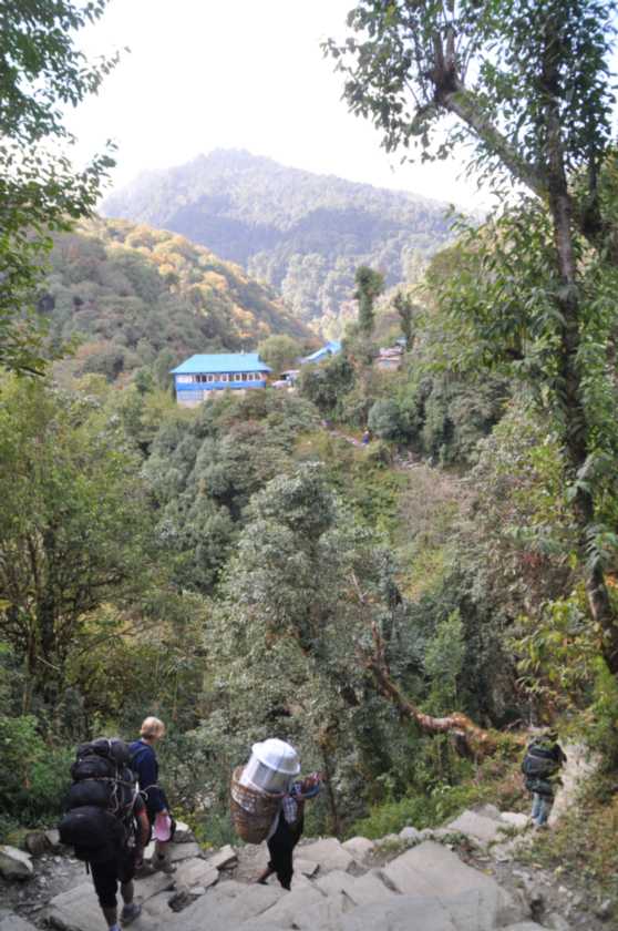 08-035 Thike Dhunga-Ghorepani